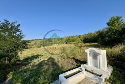 Teren 33290 mp, Lupsa de sus, Oportunitate de investitie - 4