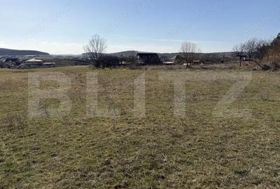 Teren de 5800 mp, în Hereclean - 2