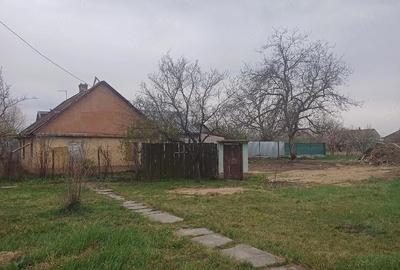 Casă cu Teren 1230 Mp în Sălard - 2