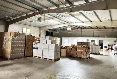 Spațiu comercial, de 440 mp, în Micălaca - 3