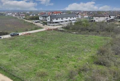 Teren de 1866 mp, în Mogoșoaia - 3