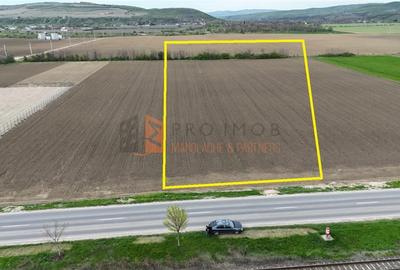 Teren Construcții intravilan de 4514 mp, în Vernești - 2