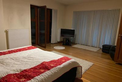 Proprietate inedita cu teren de 4400, si deschidere cu ponton pe Bega - 18