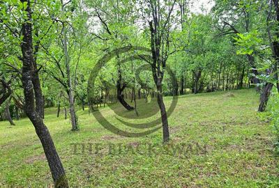 Casa 4 camere de vanzare | Zona linistita | Talea Prahova... - 21