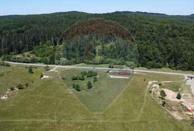 Teren 5,561mp Paltinoasa / Strada principala - 11