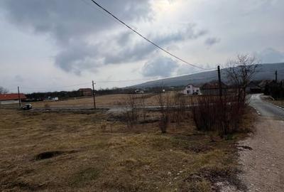 Teren Rascruci, 1250mp, front la 2 strazi 50m si 30m - 5