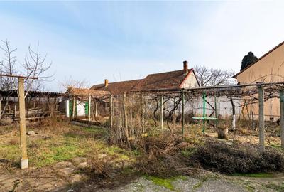 RECO Casa cu teren 3036mp, Bors - 17