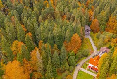 Teren de 908 mp, în Periferie - 3