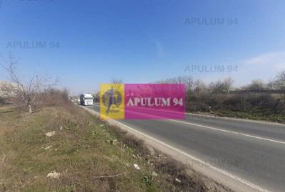 Teren de 4800 mp, în Glina - 6