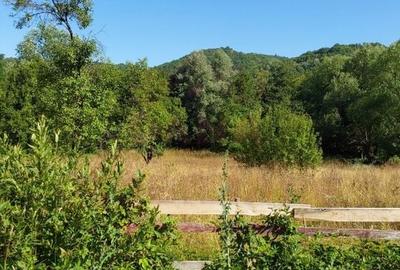 TEREN INTRAVILAN ZĂVOI\ZONA VALEA BISTREI, JUD.C-S - 5