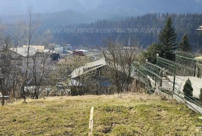 Teren de 439 mp, în Zamora - 1