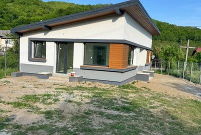 Casă cu 3 camere cu Teren 9000 Mp în Tăuții-Măgherăuș - 12
