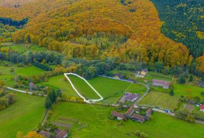 COMISION 0% Teren 3,109mp Dobarlau/ Partial intravilan - 2