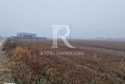 Spațiu comercial, în Sântandrei - 2