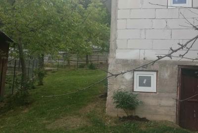 Casă cu 2 camere în Bratca - 1