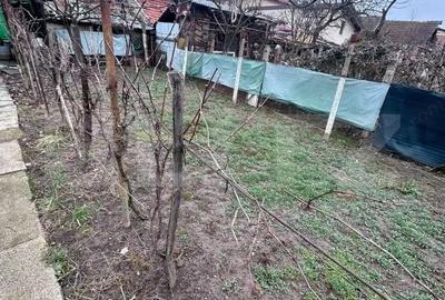 Casă cu Teren 386 Mp în Central - 7