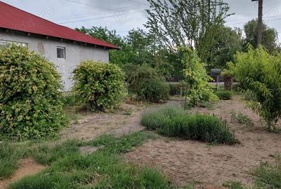 Casa de vanzare in Broscauti Casa de vanzare in Broscauti - 5