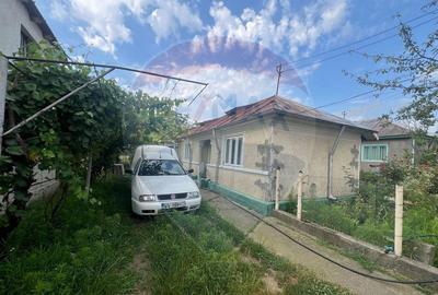 Casa -magazin Golesti - 2