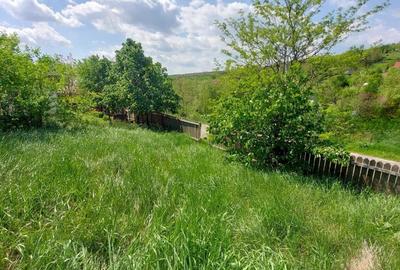 Teren intravilan 1490 MP Bratuleni Miroslava - 4