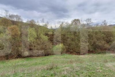 Teren de 12500 mp, în Central - 4