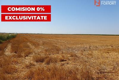 COMISION 0% Teren extravilan 4,47 ha, 800m front stradal, Peciu Nou - ID V5491 - 1