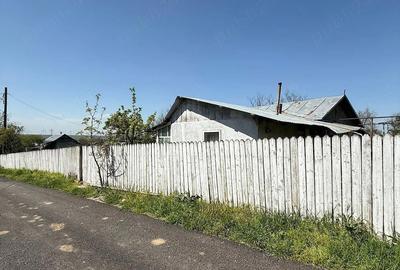 Casă cu Teren 1510 Mp în Băleni - 3