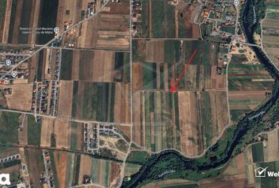 Teren de 10000 mp, în Jucu - 4