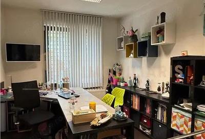 Casa de vanzare, ideala pentru locuinta si birouri, zona Parcul Regina Maria - 11