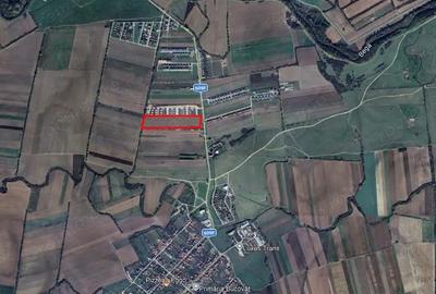 Teren de 23040 mp, în Bucovăț (Remetea Mare) - 2