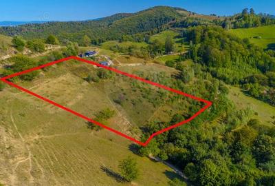 Teren extravilan 6,014mp | Holbav | BRASOV | COMISION 0| - 10