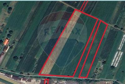 Teren Construcții intravilan de 30016 mp, în Sântuhalm - 3