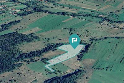 Teren de 92294 in Halmagiu - 2