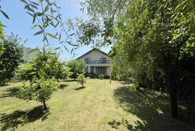 Vila 7 camere, teren 880mp, vanzare- inchiriere, IANCU NICOLAE - 29