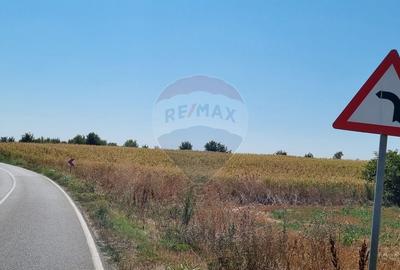 Teren 16.083 mp de vanzare - Sinesti, sat Lilieci, Slobozia - 2