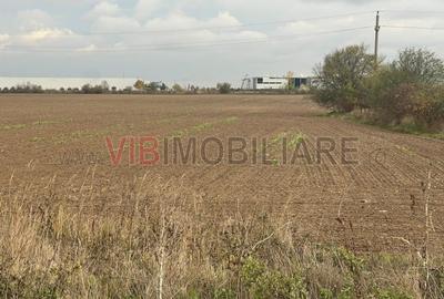 Teren de vanzare - 22800mp  - Parc Industrial km 23 - 4