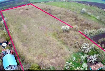 Oportunitate de Investitie - Teren Intravilan în Valea Lungă - Iași ! - 3