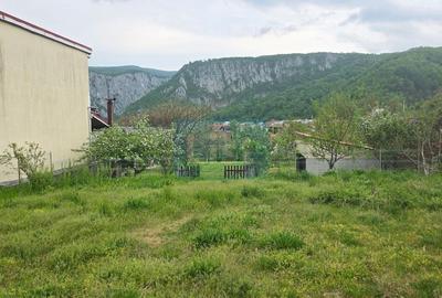 Casă cu 6 camere cu Teren 1361 Mp în Dubova - 4