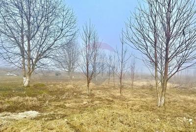 Teren în Turturești - 2