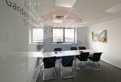 Birou, de 220 mp, în Mărăști - 5