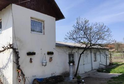 Casă cu 4 camere în Ribița - 5