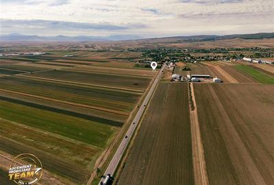 Teren Construcții intravilan de 7500 mp, în Cernat - 10