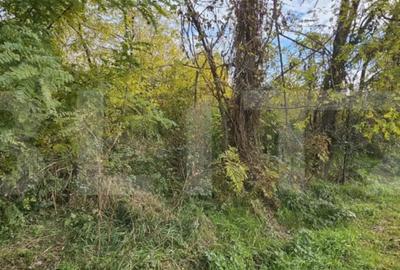 Teren de 1950 mp, în Gorgota - 2