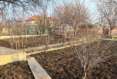 Teren de 421 mp, în Agigea - 1