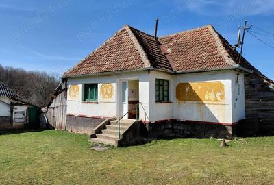 Casă cu Teren 6580 Mp în Zece Hotare - 3