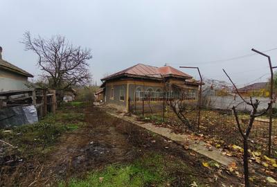 Casa caramida Teslui DJ - 1