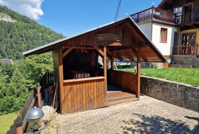 Pensiune în mijlocul naturii Bran - 3