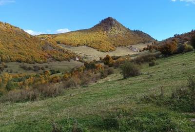 Teren extravilan de 10000 mp, în Valea Mare-Pravăț - 6