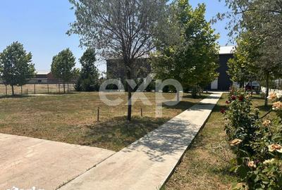 Teren de 105000 mp, în Singureni - 13