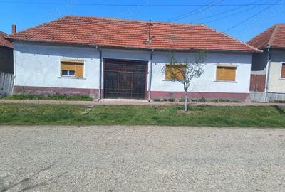 Vand casa - 1