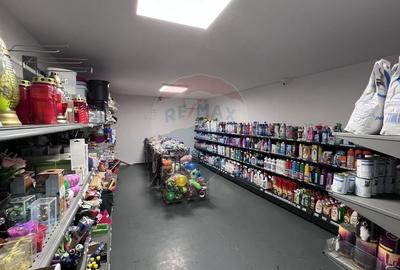 Spatiu comercial de vanzare / Afacere la cheie - sat Smardan, Galati - 9